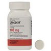 rxstore-24x7-Lincocin rxstore-24x7-Lincocin